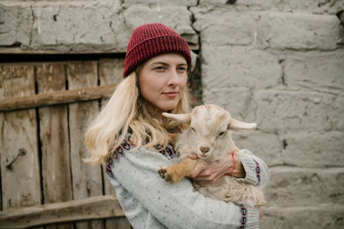 Young woman in casual warm wear and red knitted hat standing near shabby wall with little goat