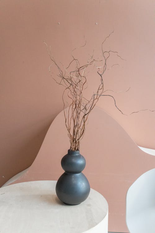 Creative interior of room with dry plant in vase on white round table