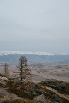 探索阿尔泰广阔高地宁静雄伟的冬季景观