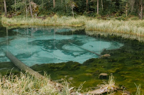 Small calm filled geyser pond with blue water in middle of green forest