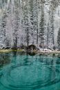 Picturesque scenery of calm geyser lake with blue pure water in winter forest with trees covered in snow