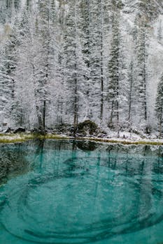 冬季森林中，树木被雪覆盖，平静的间歇泉湖风景如画，湖水纯净湛蓝