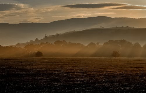 Groen Grasveld Onder Blauwe En Witte Bewolkte Hemel