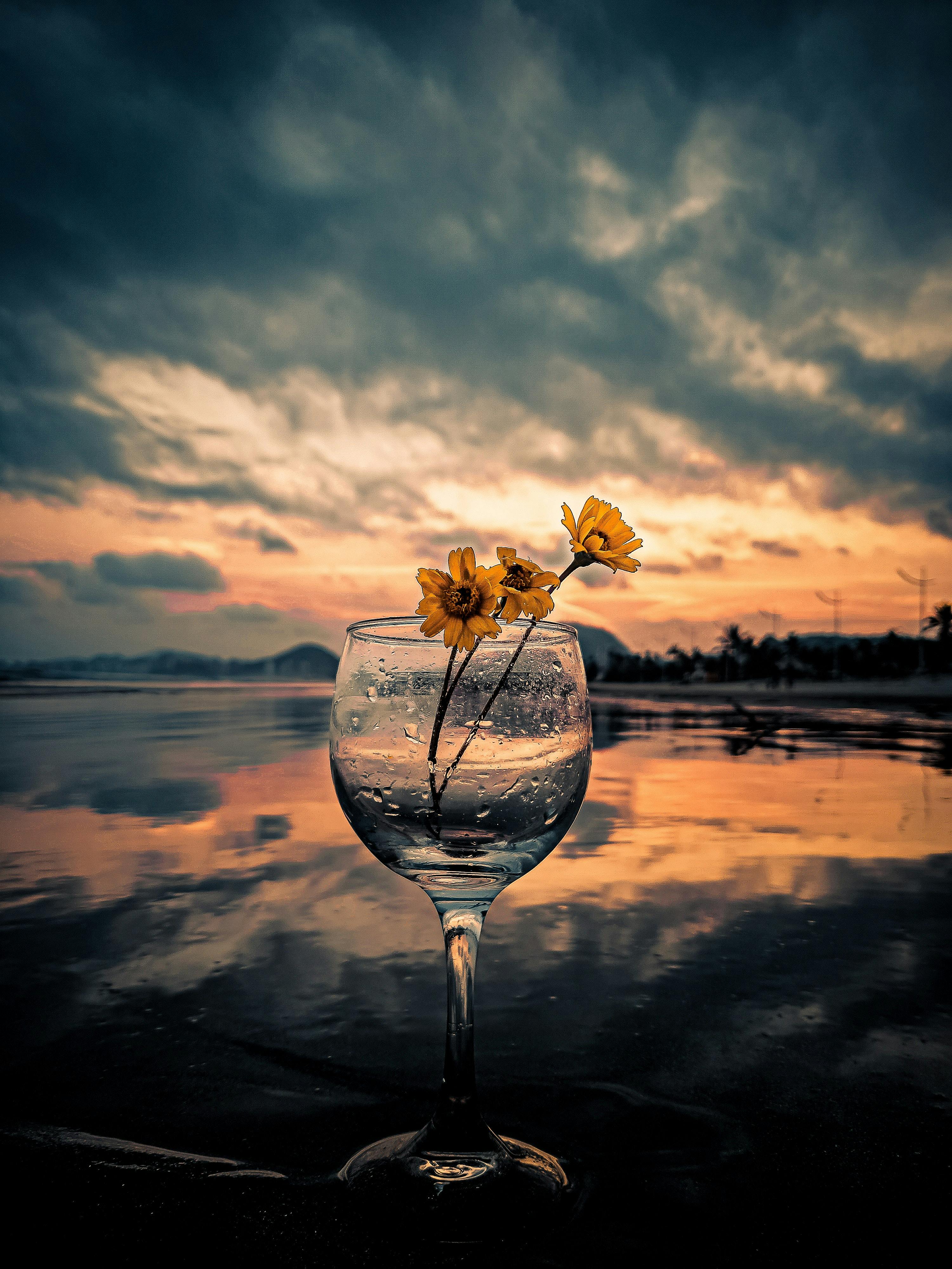 CloseUp Photo of Delicate Yellow Flowers in a Wine Glass · Free Stock