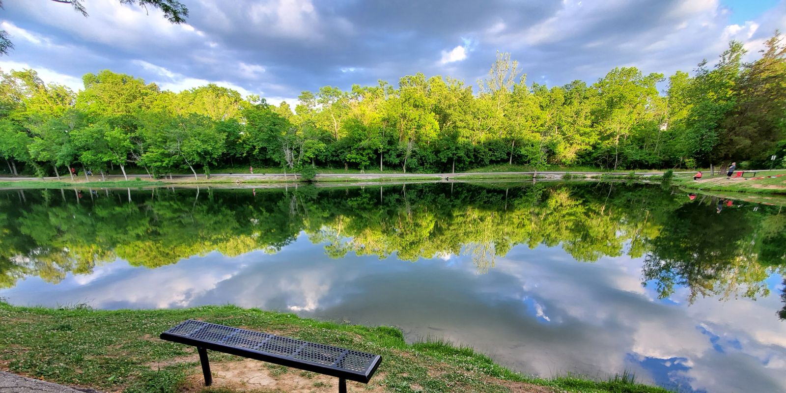 Peaceful reflections on a calm forest lake
