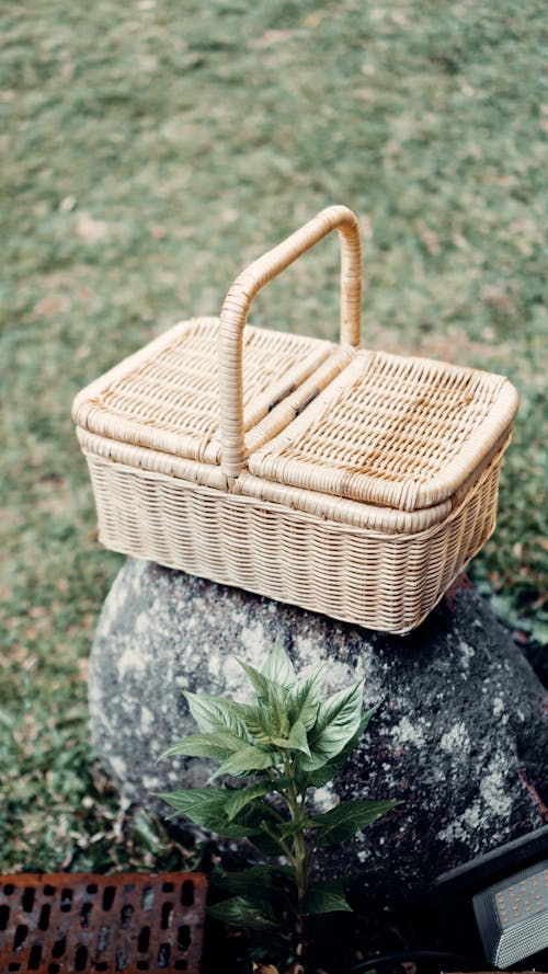 Foto profissional grátis de cesta de vime, pedra, piquenique