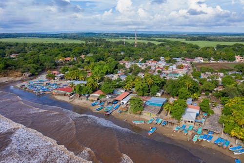 คลังภาพถ่ายฟรี ของ คลื่นกระแทก, ชายหาด, ดูนกตา