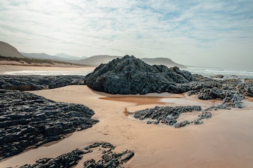 grátis Foto profissional grátis de à beira-mar, areia, beira-mar Foto profissional