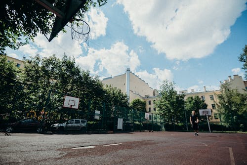 Foto profissional grátis de ângulo baixo, aro de basquete, árvores