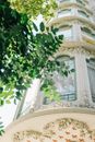 White Concrete Building With Green Tree