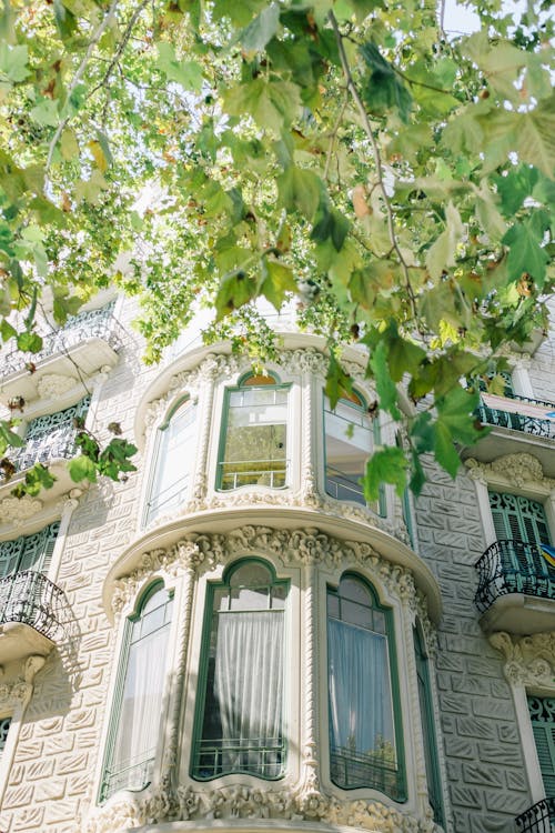 Edificio De Hormigón Blanco Con Hojas Verdes