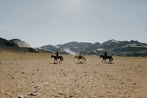 Ethnic equestrians walking along dry desert terrain covered with little stones with rocky mountains on background