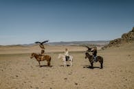 People riding horses along desert terrain