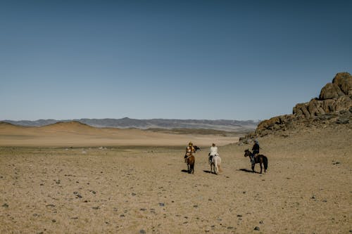 Back view anonymous equestrians riding horses on spacious hilly arid terrain under clear sky