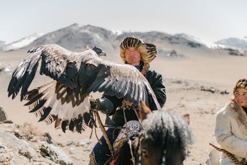 고지에서 말을 타는 독수리를 가진 진지한 몽골 사냥꾼