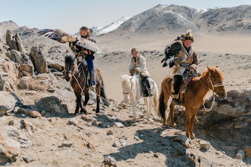 Full body Mongolian horsemen wearing traditional local clothes carrying eagles on hands and riding horses along spacious rocky terrain during eagle hunting