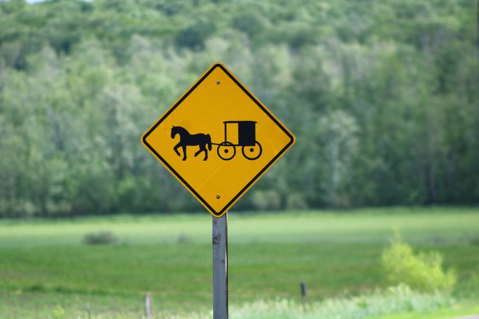 horse warning sign