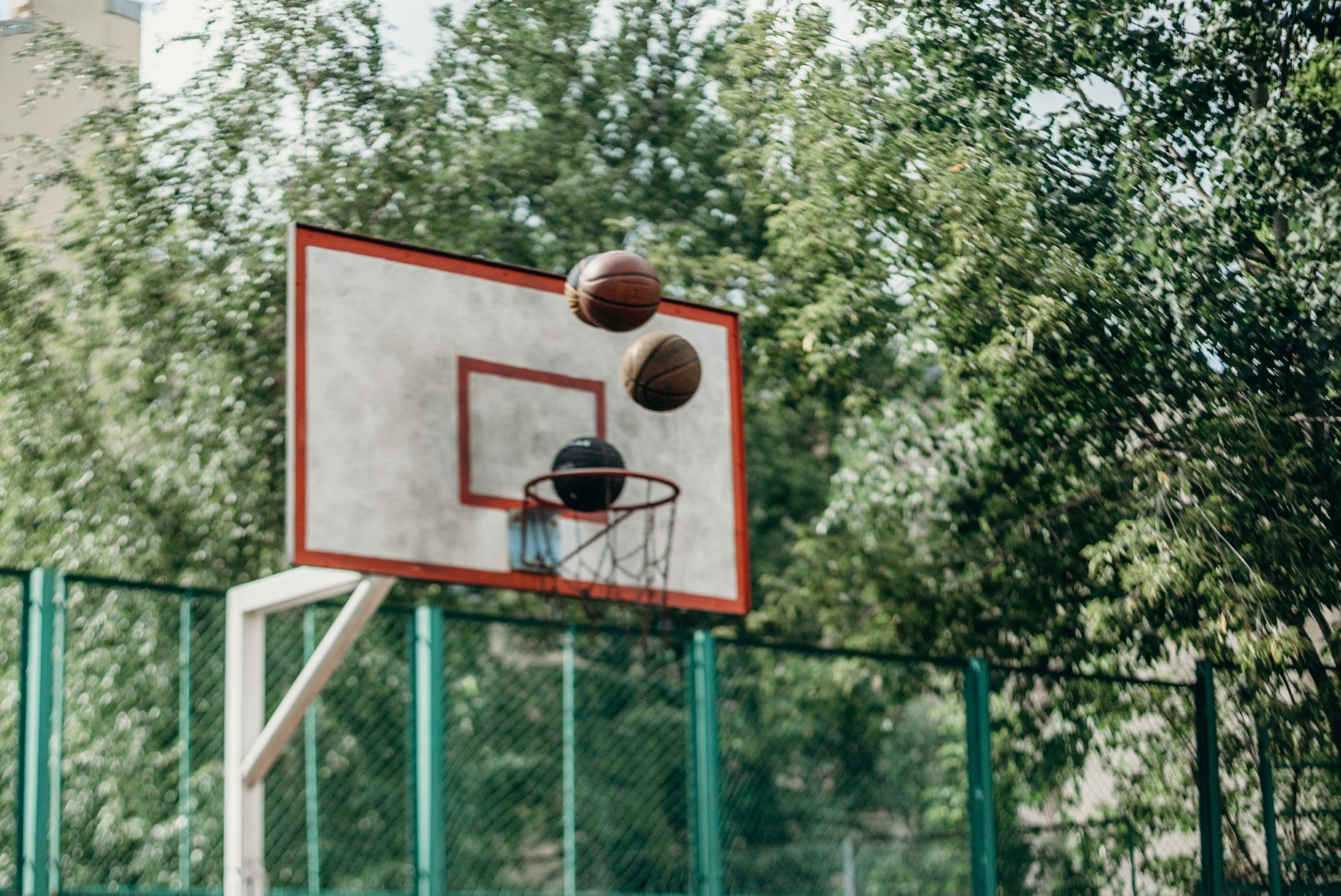 basketball betting bookmakers