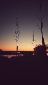Scenic view of high tree silhouettes near lake under colorful sky at sundown