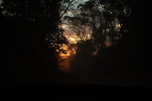Mystical sunrise over a forest landscape with dramatic silhouettes and fog enhancing the mystery.