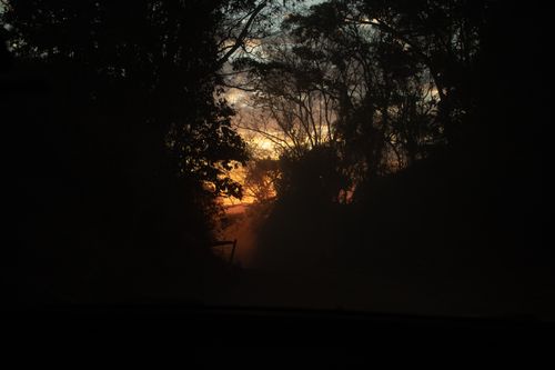 Free Mystical sunrise over a forest landscape with dramatic silhouettes and fog enhancing the mystery. Stock Photo