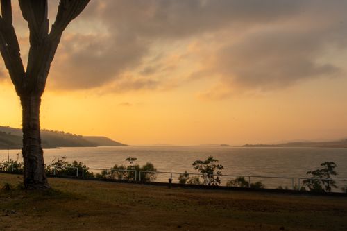 Free Peaceful sunset scene with calm waters and a silhouette of a tree by the shoreline. Stock Photo