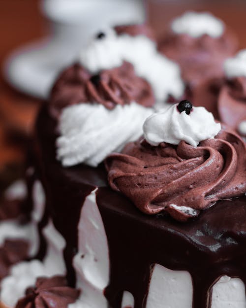 Close-up Photo of Chocolate Cake With White Icing