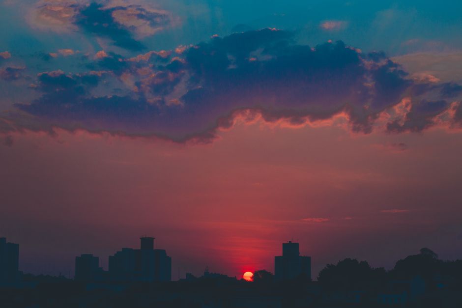Silhouettes of high rise buildings and lush trees in evening during colorful sundown