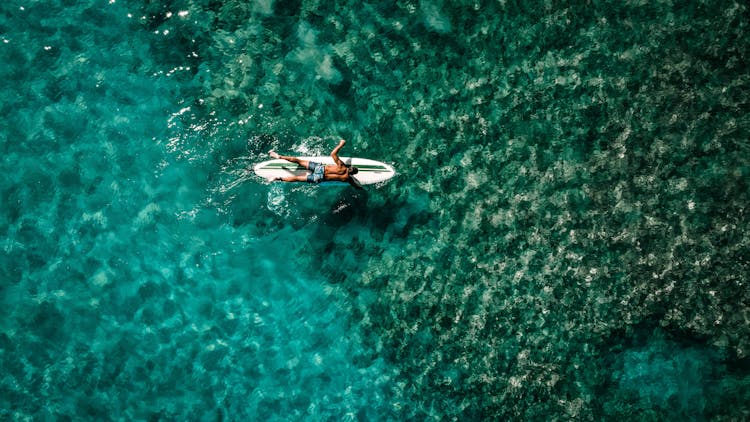 Anonymous Male Athlete Floating In Sea Lying On Surfboard