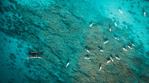 무료 햇빛에 푸른 바다에서 항해하는 요트 스톡 사진