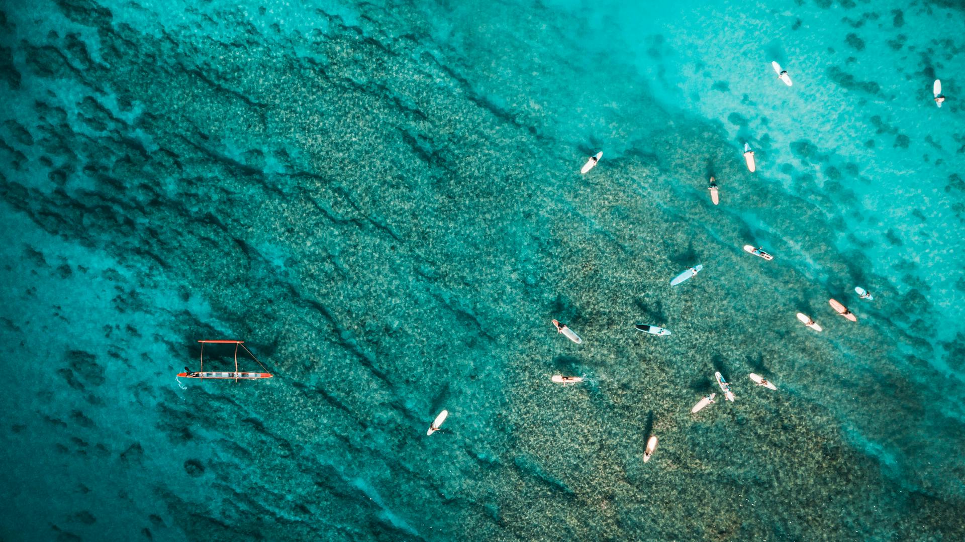 Picturesque aerial view of various boats floating in clear turquoise ocean with coral reefs on bottom