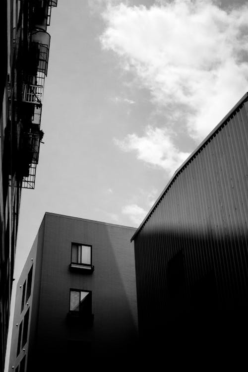 Grayscale Photo of Buildings 