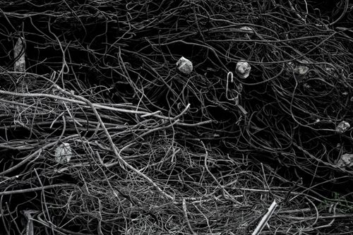 Free stock photo of abstract, art, background Stock Photo