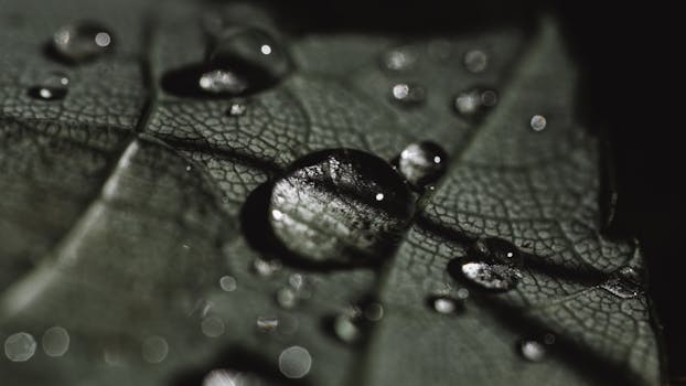 Detailed macro photograph of water droplets on a textured leaf surface.