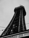 Grayscale Photo of Blackpool Tower