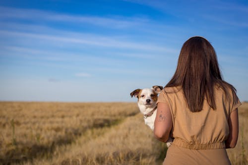 Free Woman in Brown Tank Top Carrying White and Brown Short Coated Dog Stock Photo