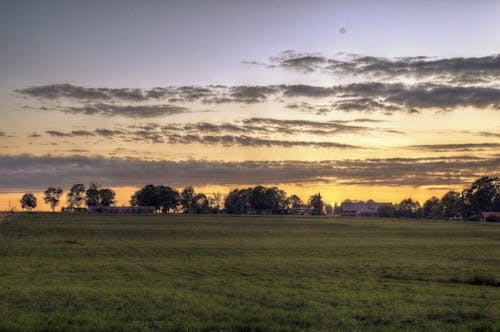 Groen Grasveld Onder Blauwe Hemel