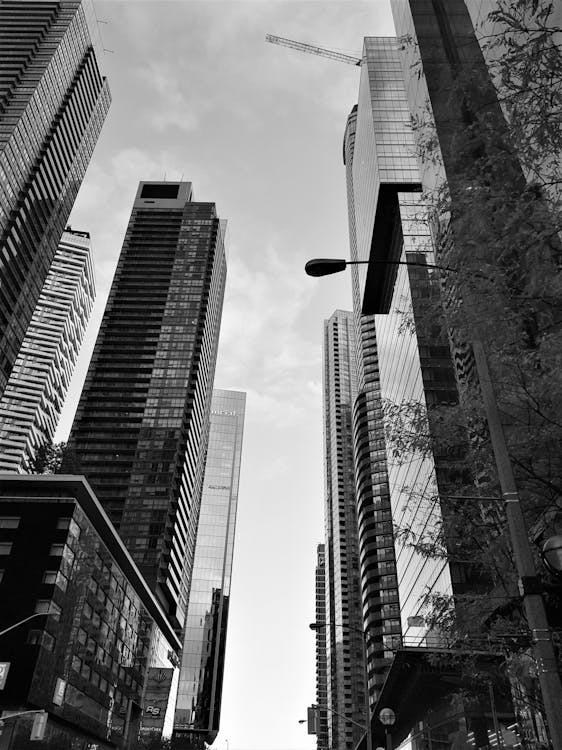 Black and White Photography of High Rise City Buildings · Free Stock Photo