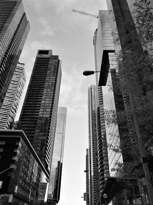Black and White Photography of High Rise City Buildings