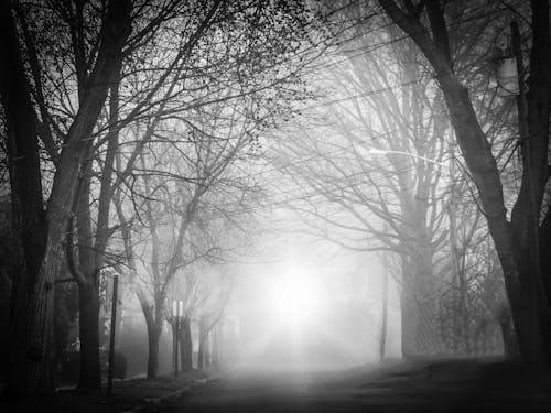 A Road Covered in Mist