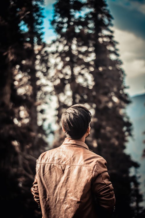 Бесплатное стоковое фото с боке, деревья, коричневая кожаная куртка
