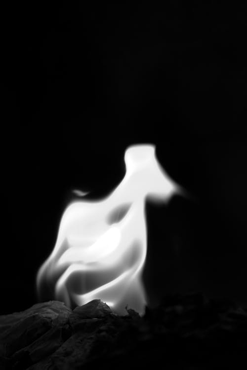 Free Burning fire on black background Stock Photo
