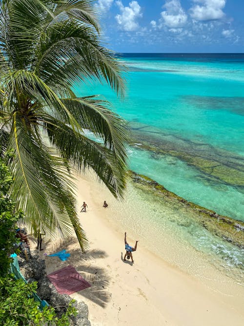 A Person Doing a Handstand on the Shore