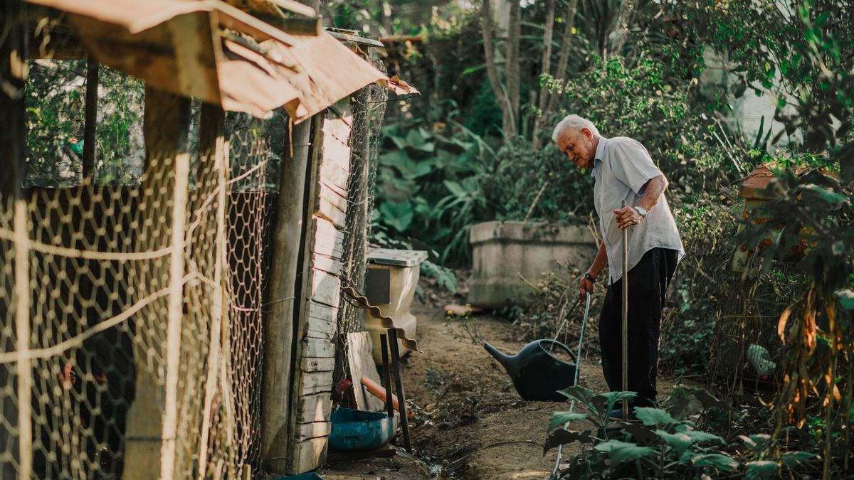 A gardener tending plants on a warm day