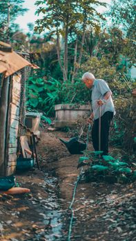 Senior man tending to garden plants using a watering can outdoors during the day.