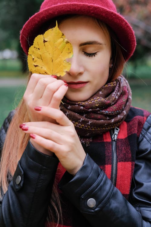 10월, 가을, 개성의 무료 스톡 사진