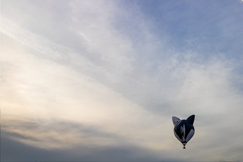 Free stock photo of atmosphere, balloon, ballooning Stock Photo