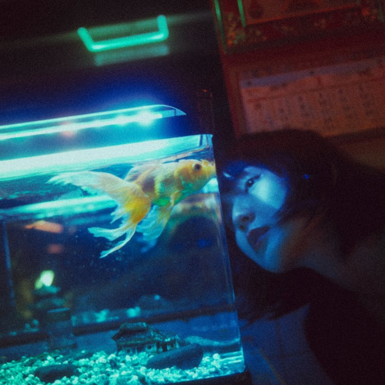 Thoughtful Ethnic Woman Looking At Aquarium Fish