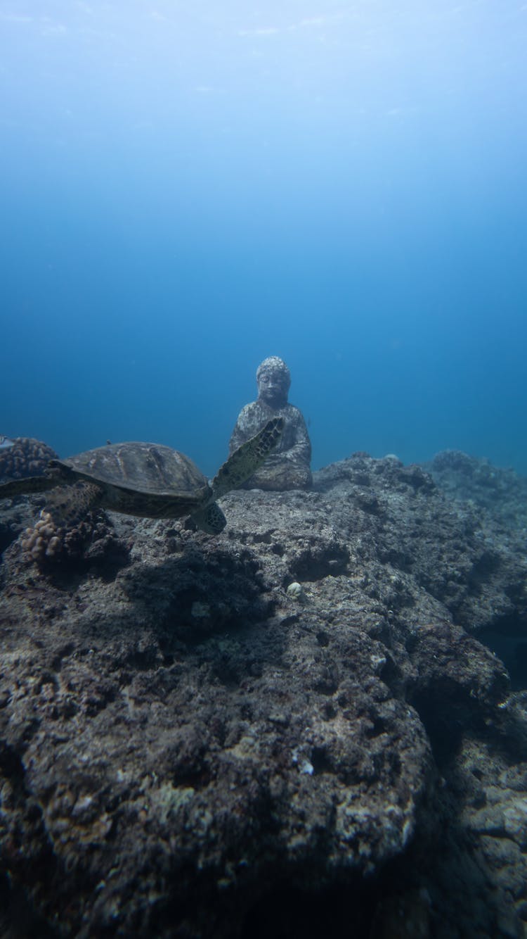 Sunken Buddha Statue Underwater Of Ocean