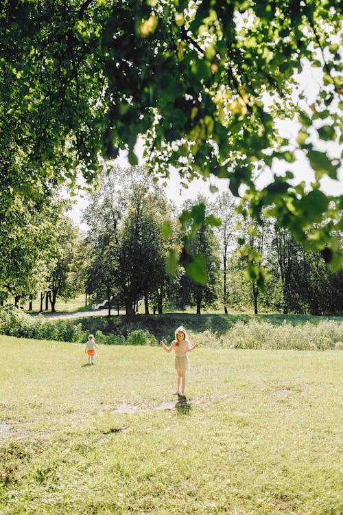 Ücretsiz ağaçlar, çim, çocuklar içeren Ücretsiz stok fotoğraf Stok Fotoğraflar